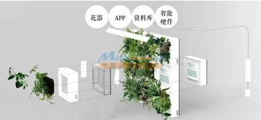 智能綠植墻代理專業(yè)提供 河南潤庭裝飾工程