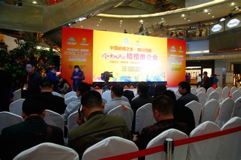 成都品牌營銷推廣大全 整合資源，引爆市場